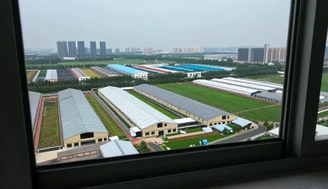 市场调研如何影响行业定制产品的性能与适用条件